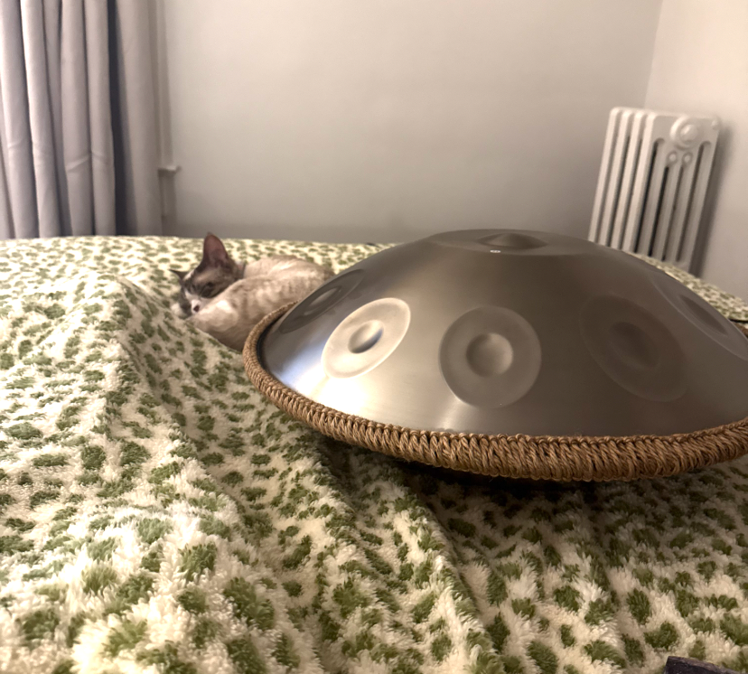 Photo d’un handpan transmise avec les avis, vue 3